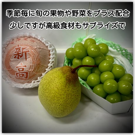 Glider'z Deli【一般のオーナー様はこちらから】