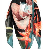 LANVIN マフラー＆スカーフ