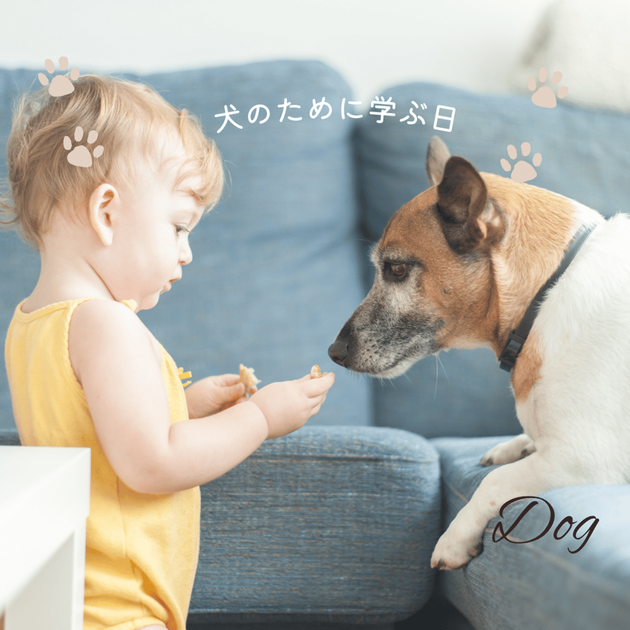 683ec1c97c86912fc4bf6009