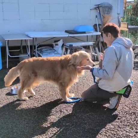 考え、学び、犬と協力して進む 　田口犬学 2026年  年間プログラム｜全22回