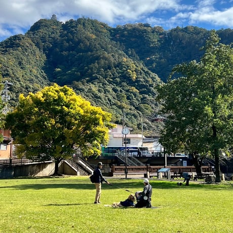 11月30日(日) 🏞️岐阜長良川河畔🐕犬のための日2025🍂