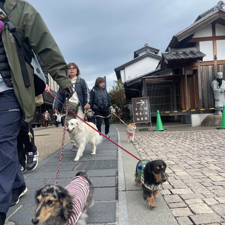 11月30日(日) 🏞️岐阜長良川河畔🐕犬のための日2025🍂