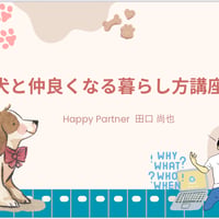 犬と仲良くなる暮らし方　オンライン講座