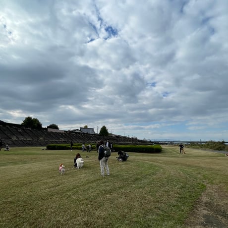 11月30日(日) 🏞️岐阜長良川河畔🐕犬のための日2025🍂