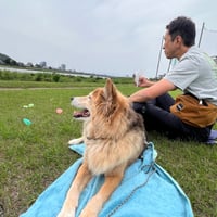 考え、学び、犬と協力して進む　 田口犬学 2026年 プログラム　1セット参加
