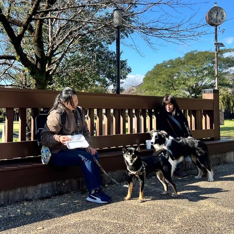 11月30日(日) 🏞️岐阜長良川河畔🐕犬のための日2025🍂