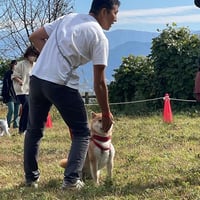 プライベートレッスン　4回