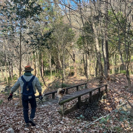 中止☔️12月21日(日)⛰️遠見山 午前の部🐕犬のための日2025🍂