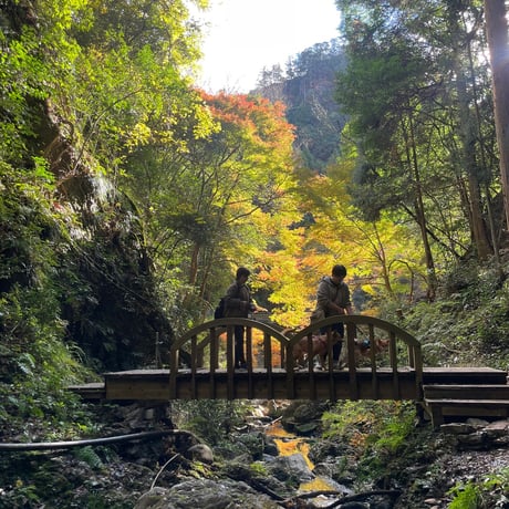 中止☔️12月21日(日)⛰️遠見山 午前の部🐕犬のための日2025🍂