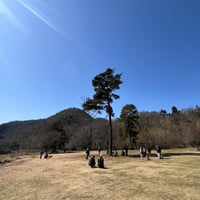 4月5日🌳各務野自然遺産の森のんびり編🐕犬のための日2026年春🍀