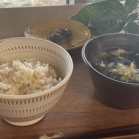 早割特約!!関東・関西エリア【玄米 定期便５kg 送料無料】令和７年産新米 12回コース/6回コース【特別栽培米】農薬５割減