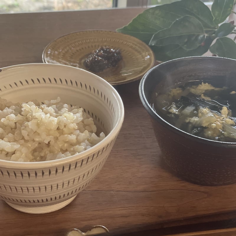令和6年産【特別栽培米-玄米-】農薬5割減『5kg』(元気 令和6年産【特別栽培米-玄米-】農薬5割減『5kg』(元気
