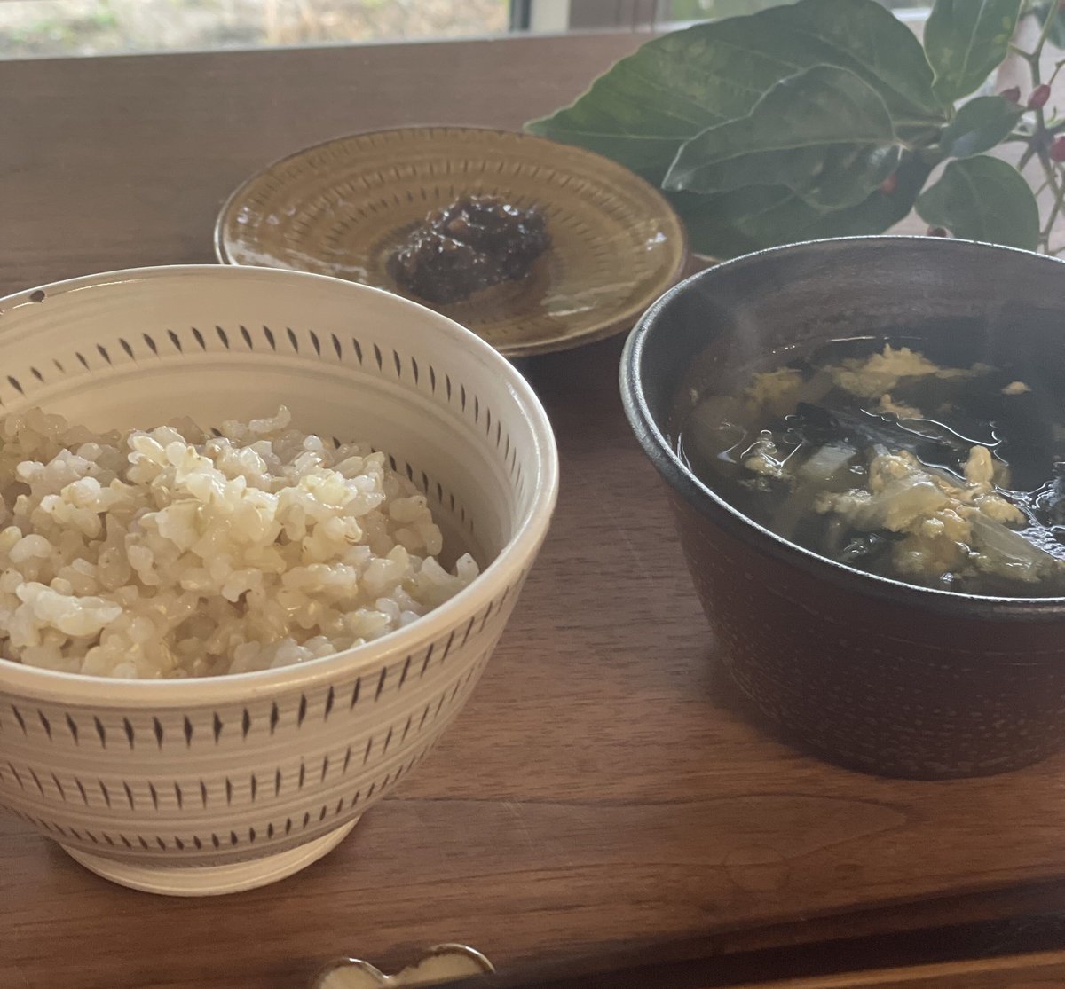 令和6年産【特別栽培米-玄米-】農薬5割減『5kg』(元気 令和6年産【特別栽培米-玄米-】農薬5割減『5kg』(元気