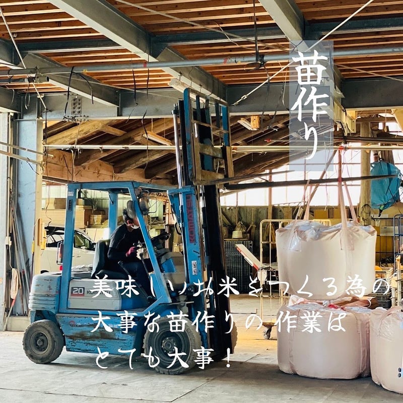 令和6年産【特別栽培米-無洗米-】精米したて!『5kg』(元気 令和6年産【特別栽培米-無洗米-】精米したて!『5kg』(元気