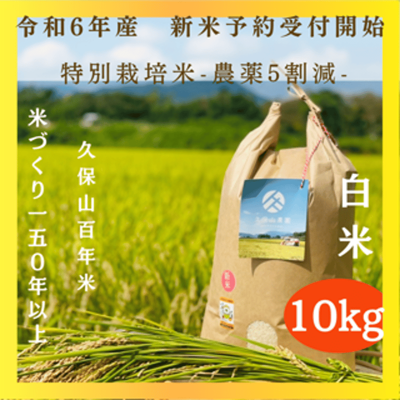 関東・関西エリア 【白米10kg定期便 送料無料】令和6年産新米 関東・関西エリア 【白米10kg定期便 送料無料】令和6年産新米