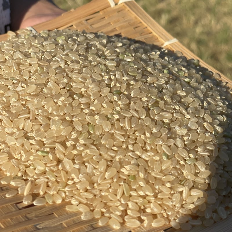令和6年産【特別栽培米-玄米-】農薬5割減『5kg』(元気 令和6年産【特別栽培米-玄米-】農薬5割減『5kg』(元気