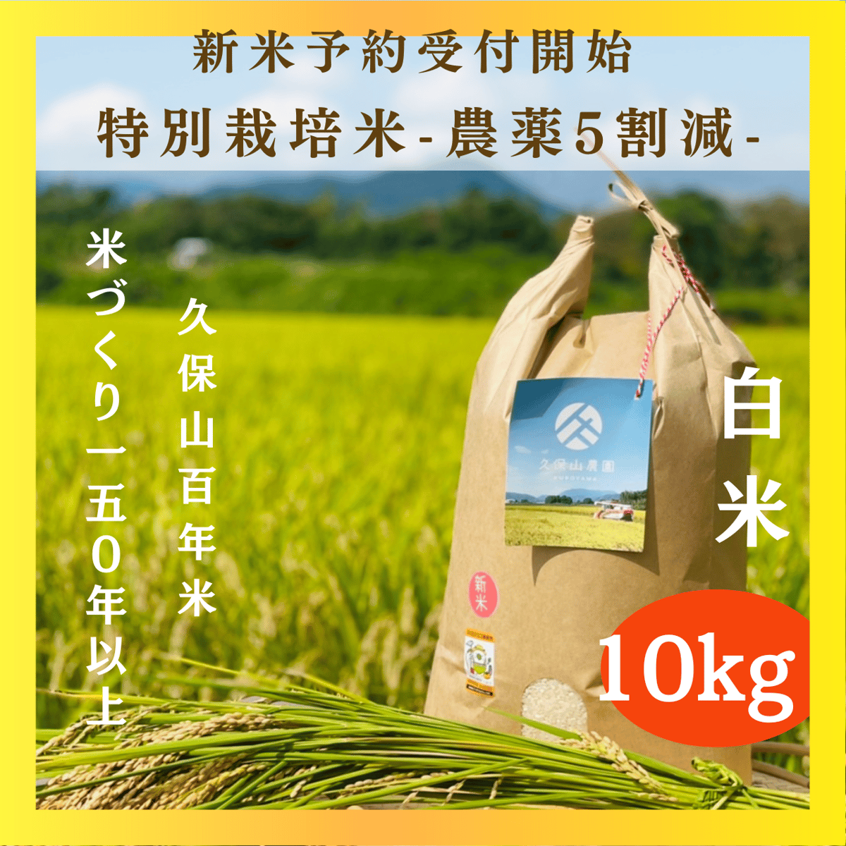 農家直送 令和６年産 無洗米 10kg 特別栽培米 白米 精米 農家直送 令和6年産 無洗米 10kg 特別栽培米 白米 精米