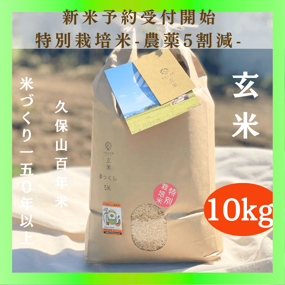関東・関西エリア 【玄米 定期便10kg 送料無料】令和7年産新米 12回