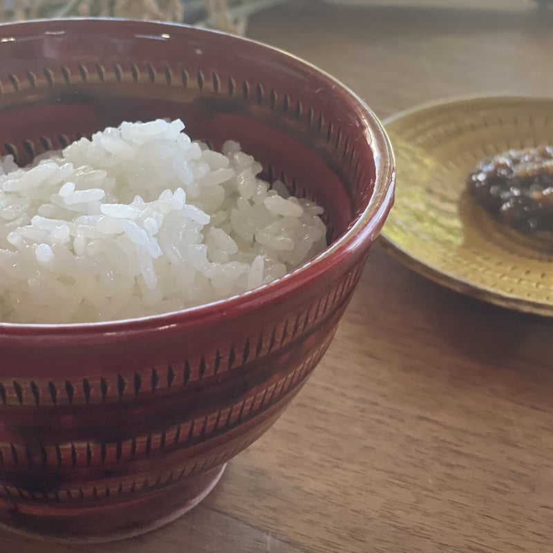 令和6年産【特別栽培米-無洗米-】精米したて!『5kg』(元気 令和6年産【特別栽培米-無洗米-】精米したて!『5kg』(元気