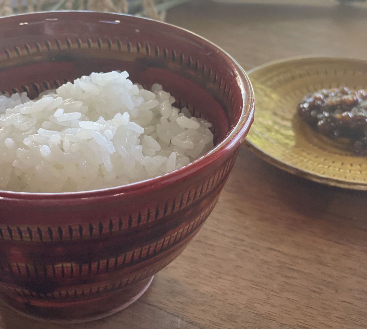 令和6年産【特別栽培米-無洗米-】精米したて!『5kg』(元気 令和6年産【特別栽培米-無洗米-】精米したて!『5kg』(元気