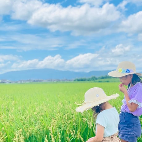 早割特約!!九州・四国・中国エリア【無洗米５kg定期便 送料無料】令和７年産新米 １２回コース/６回コース【特別栽培米】農薬５割減