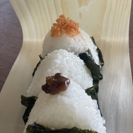 早割特約!!九州・四国・中国エリア【無洗米５kg定期便 送料無料】令和７年産新米 １２回コース/６回コース【特別栽培米】農薬５割減