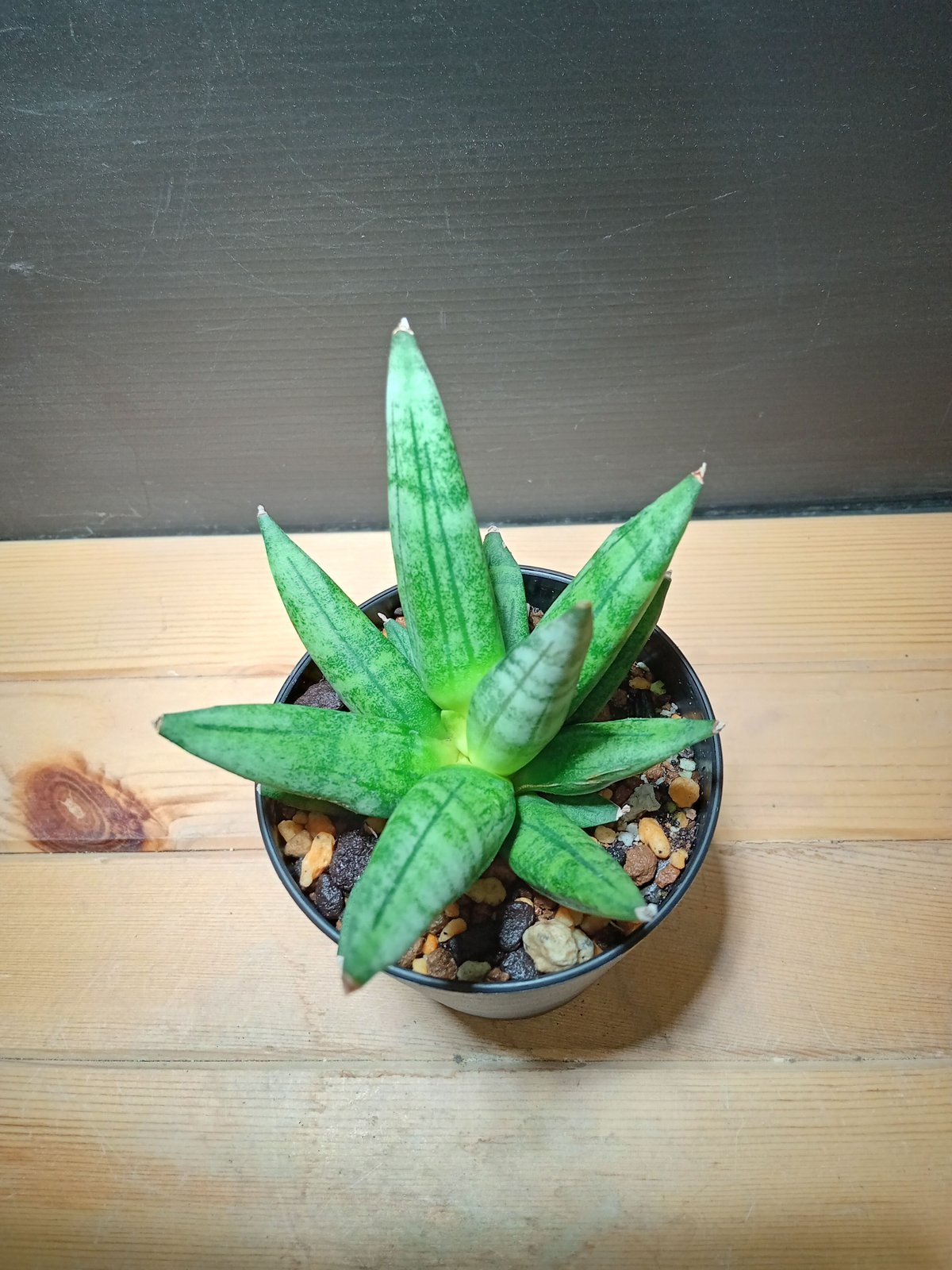 fit=scale-down,w=1200