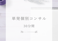 単発 個別コンサル（30分）