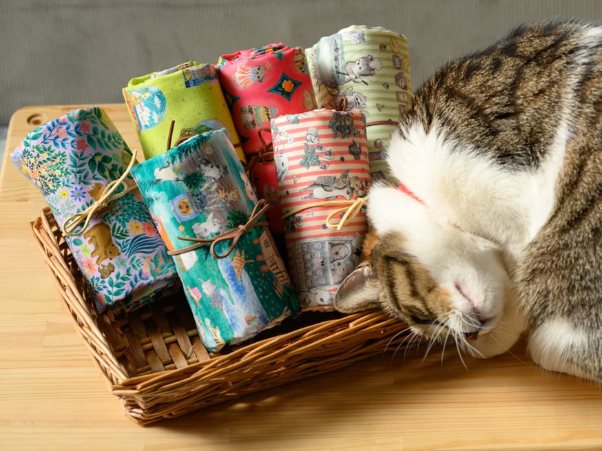 NEWS | 22fabric official store