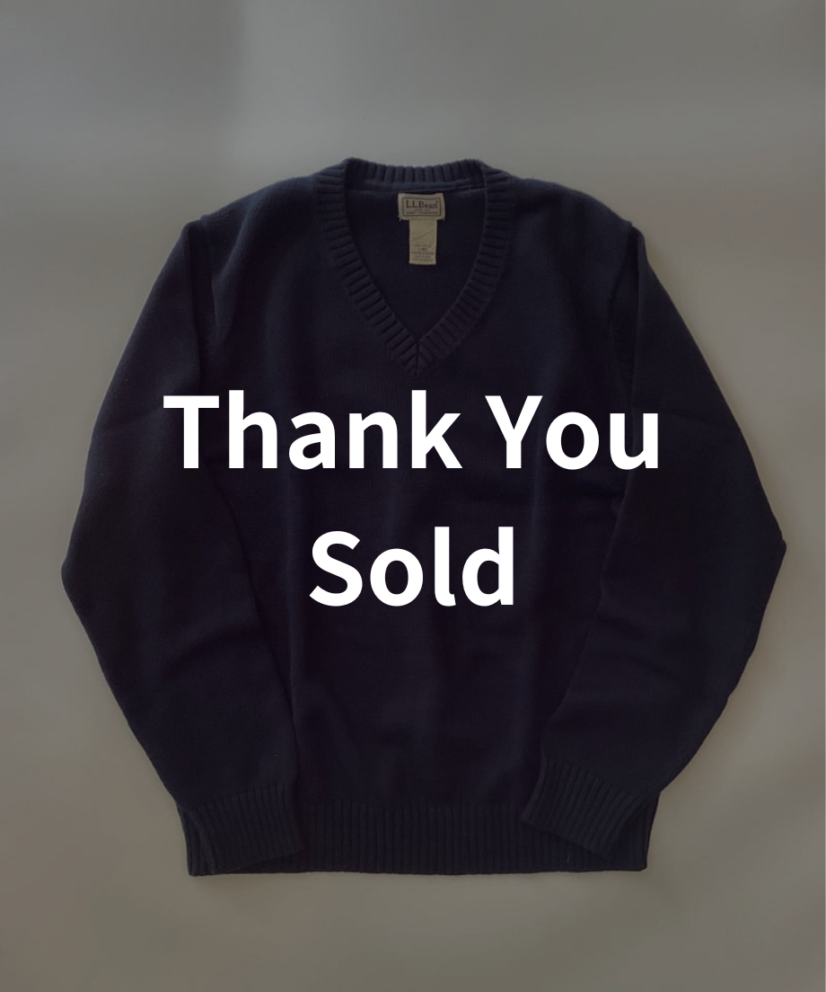 90s llbeanエルエルビーンコットンニット ＶネックY2K vintage 90's L.L.Bean Vネック コットンニット 