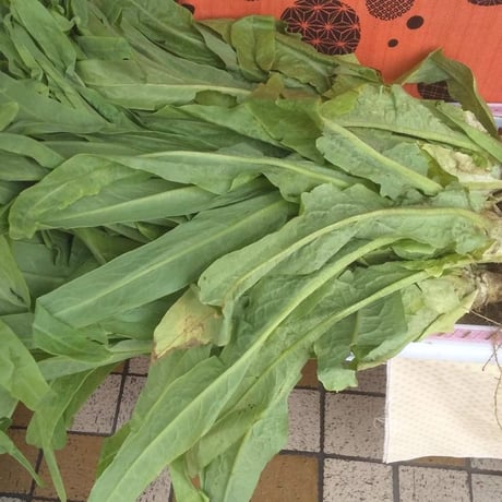 山くらげ 252g