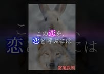 【小説】この恋を、恋と呼ぶには
