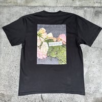 WILTED PINK