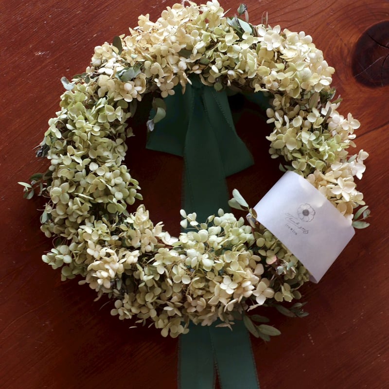 アナベルリース | iro＊iro