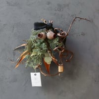 クリスマスリース(ベルガムナッツ)