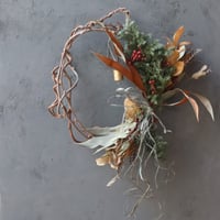 クリスマスツリー(キウイのつる)