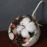 【SALE】ブッダナッツ【コットンフラワー】