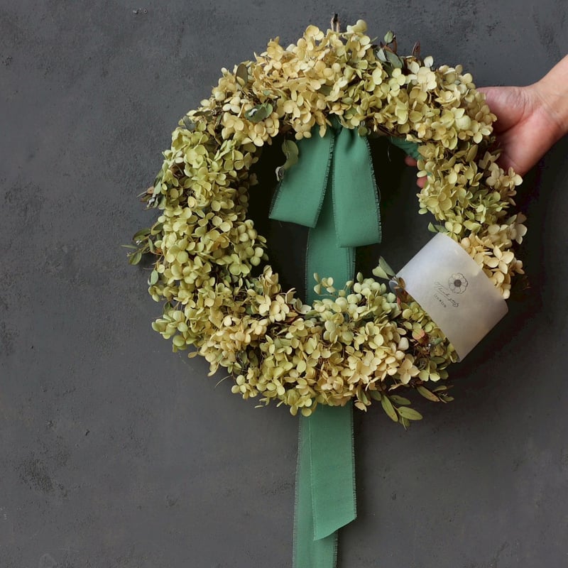 アナベルリース | iro＊iro