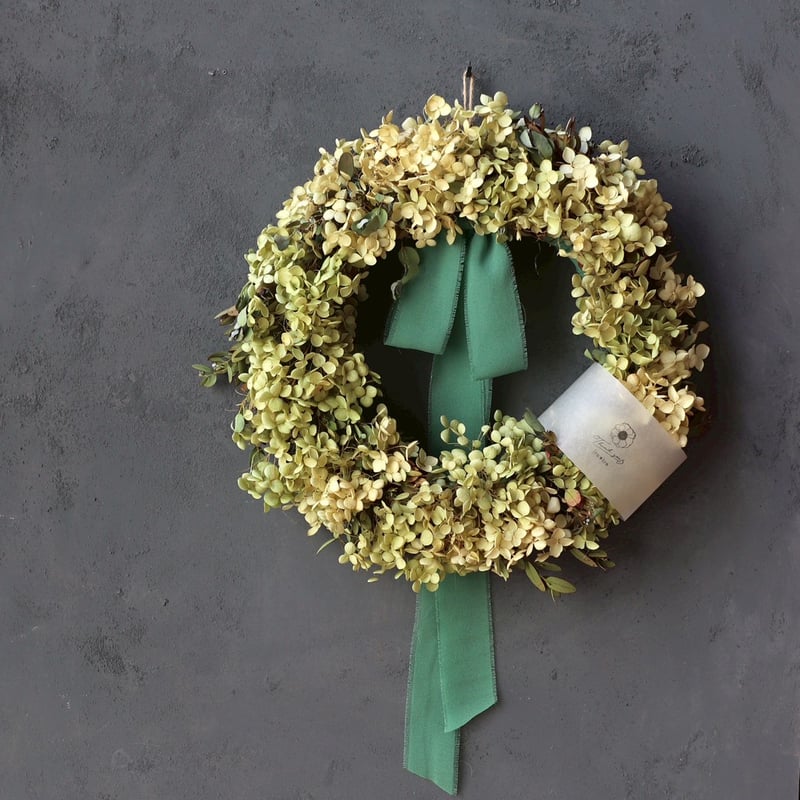 アナベルリース アナベルリース | iro＊iro