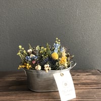 クラスペディアのフラワーポット