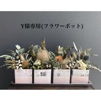 Y様専用(フラワーポット4個)