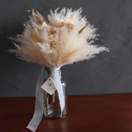 パンパス | STORES