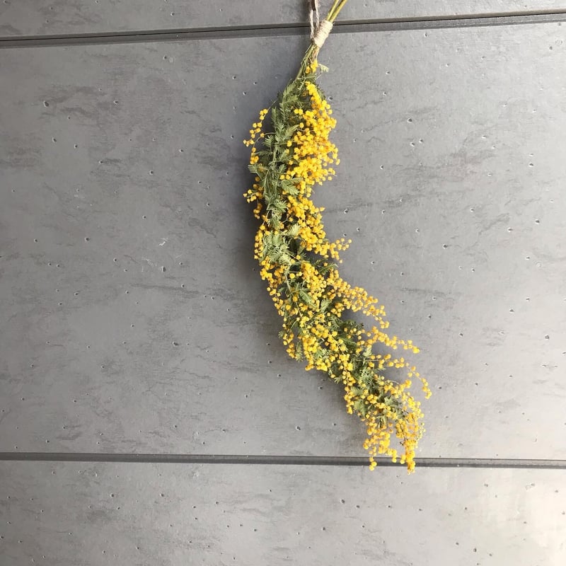 12.ミモザスワッグ 1.ミモザスワッグ ミモザの一本スワッグ | iro＊iro