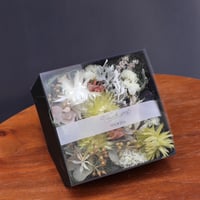 【SALE】フラワーボックス(シルバーデージー)