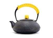 いろはに鉄瓶 だいだい(オレンジ色) 南部鉄瓶兼用急須 0.5L (2026年1月