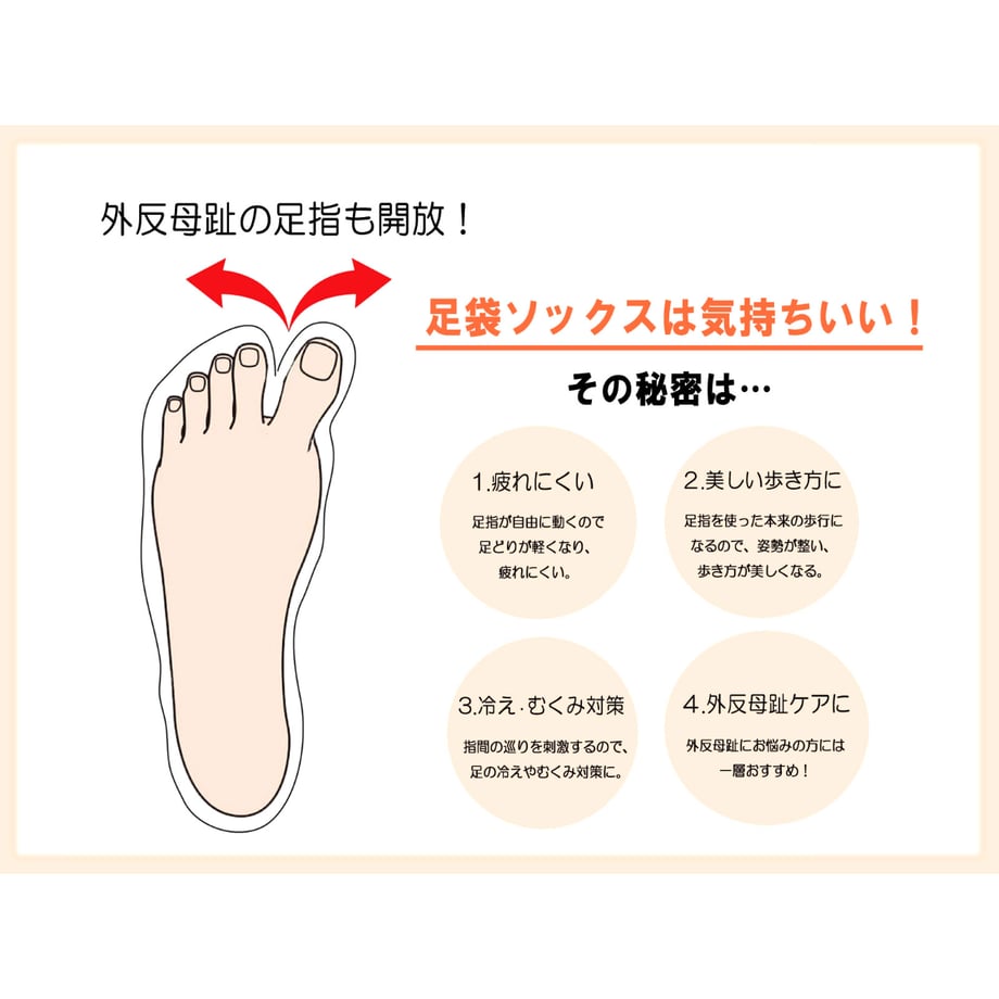 6221a93ba8611354fbbe09c5
