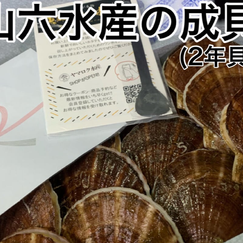 山六水産の2年貝 5k（成貝） | 山六水産