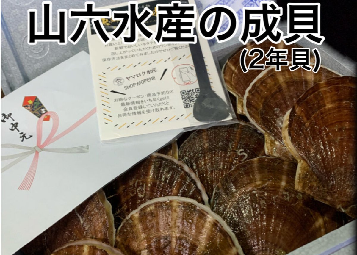 山六水産の2年貝 5k（成貝） | 山六水産