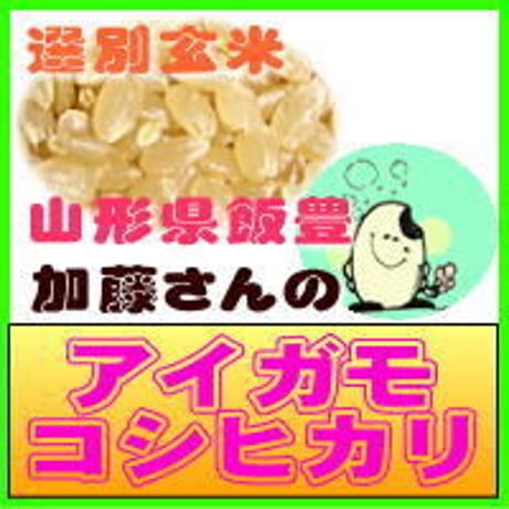 加藤さんのアイガモ こしひかり　選別玄米　5kg　　山形県