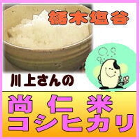 尚仁米川上さんの コシヒカリ　精白米　3kg　　栃木県